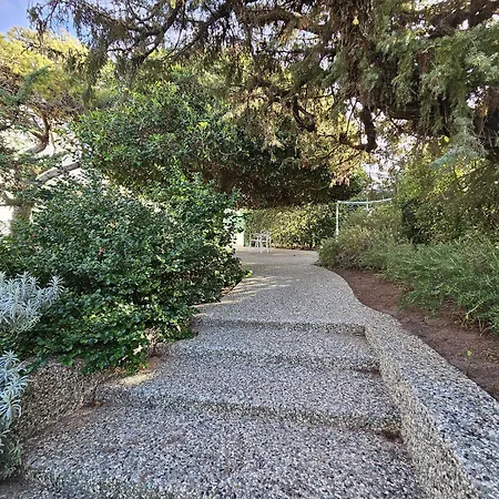 Dune Luxury Roof Pool Wellness