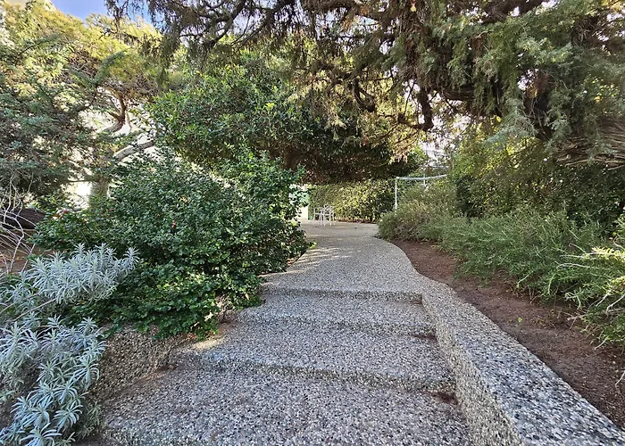 Dune Luxury Roof Pool Wellness